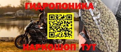 эйфоретик Кинель