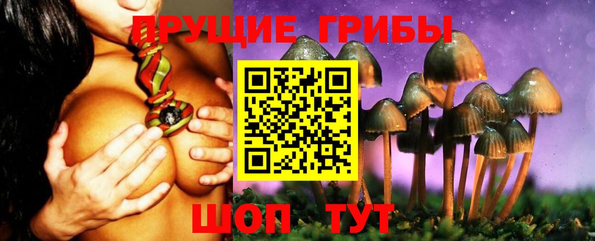Псилоцибиновые грибы Cubensis  где найти наркотики  Старый Оскол  Вход с VPN 