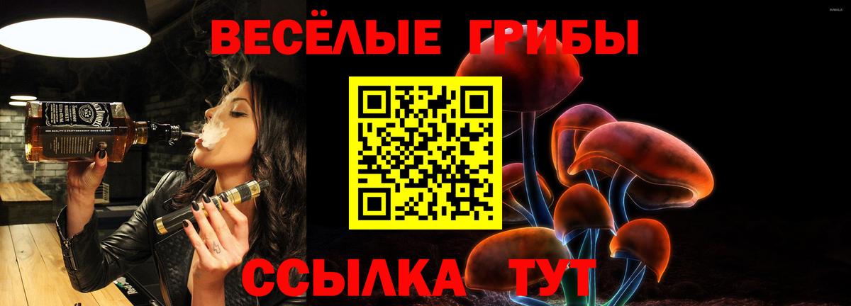 Псилоцибиновые грибы прущие грибы Старый Оскол